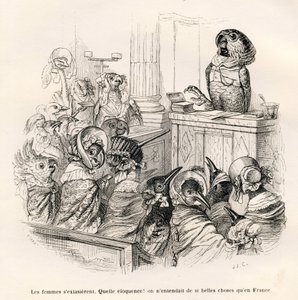 Beredsamer Papagei. Vignetten illustriert von JJ Granville. Gravur signiert Porret im Teil "Esel-Führer für Tiere, die zu Ehren gelangen wollen" geschrieben von Honore De Balzac in "Szenen aus dem privaten und öffentlichen Leben der Tiere"