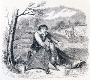 Der Vogelfänger, der Habicht und die Lerche - Fabeln von La Fontaine
