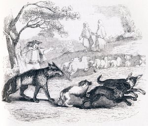 Der Bassa und der Kaufmann - Fabeln von La Fontaine