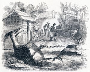 Der Vogel, verletzt von einem Pfeil - Fabeln von La Fontaine