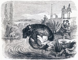 Der Hund, der seine Beute für den Schatten aufgibt - Fabeln von La Fontaine
