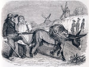 Der Esel in der Löwenhaut