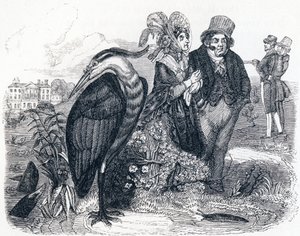 Der Reiher - Fabeln von La Fontaine