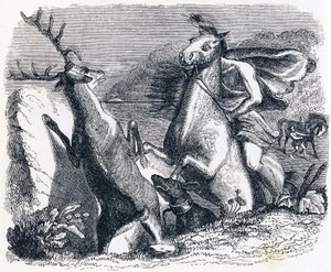 Das Pferd wollte sich am Hirsch rächen