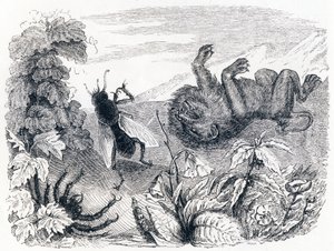 Der Löwe und der Nebel - Fabeln von La Fontaine von Grandville