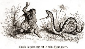 Das sicherste Asyl ist die Brust einer Mutter von Grandville (1803 47)