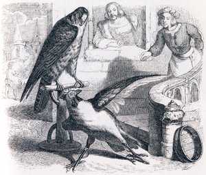 Der Falke und das Huhn