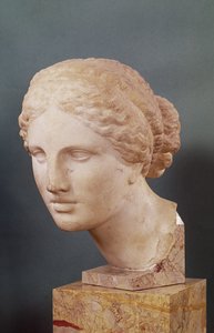 Der Kauffmann-Kopf, Kopf der Aphrodite, Kopie der Aphrodite von Knidos von Praxiteles (ca. 150 v. Chr.)