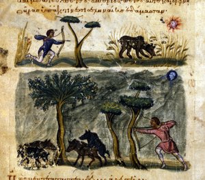 Wildschweinjagd nach dem griechischen Manuskript von Oppianus De Venatione. 13. Jahrhundert