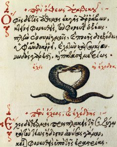 Schlangenkopplung, Test und Miniatur aus De animalium natura et proprietate libellus, von Aelianus von Greek School
