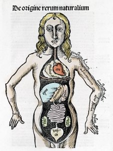 Schnitt des menschlichen Körpers - in „Margarita Philosophica“ von Gregor Reisch (1467-1525), Basel 1517. von Gregor Reisch