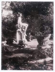 Fotografie