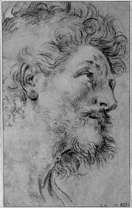 Kopf des heiligen Crispinus von Guido Reni