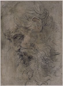 Kopf des heiligen Paulus Eremita von Guido Reni