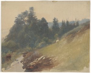 Berghang mit Kiefern