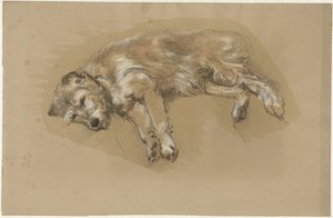Liegender Hund von Guillaume Anne van der Brugghen