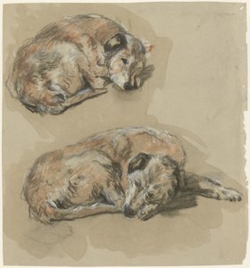 Zwei Studien eines liegenden Hundes von Guillaume Anne van der Brugghen