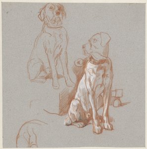 Zwei Studien eines sitzenden Hundes