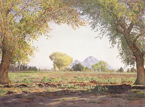 Das Salt River Valley