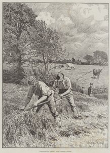 Landwirtschaftliche Szenen, Juni, Klee mähen
