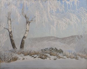 Weißer Frost im Sonnenschein