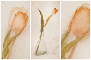 Zartes Tulpen-Stillleben