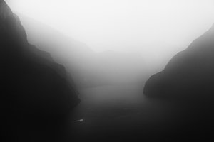 Neblige Fjordgelassenheit