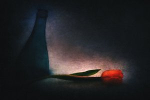 Stimmungsvolle Tulpe und Flasche von Gustav Davidsson