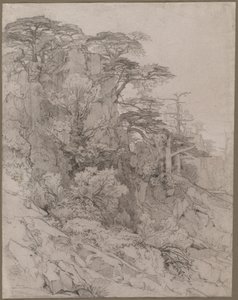 Bäume einer felsigen Hügellandschaft von Gustave Achille Guillaumet