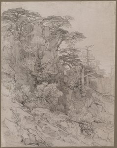 Bäume auf einem felsigen Hügel, späte 1800er Jahre von Gustave Achille Guillaumet