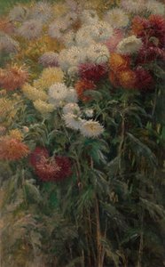 Chrysanthemen im Garten von Petit-Gennevilliers