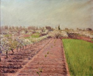 Blühende Apfelbäume, Hang von Colombes