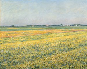 Die Ebene von Gennevilliers, Gelbe Felder; La plaine de Gennevilliers, champs jaunes, 1884 von Gustave Caillebotte