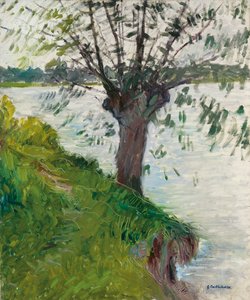Weide am Fluss; Saule au bord de la rivière, ca. 1891 von Gustave Caillebotte
