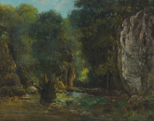 Der schwarze Brunnen (die Schluchten der Loue) von Gustave Courbet