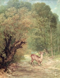 Das gejagte Reh auf der Hut, Frühling, 1867 von Gustave Courbet