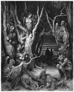 Harpien, Illustration aus 