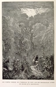 Illustration des amerikanischen Waldes. aus La legende de Croque-Mitaine. von Gustave Dore