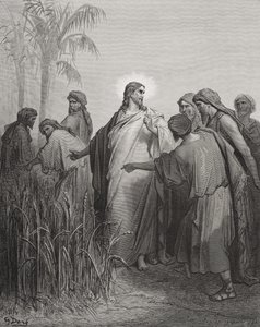 Jesus und seine Jünger im Kornfeld, Illustration aus Dores 