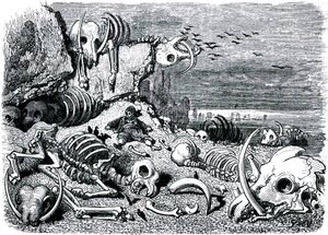 Sindbad der Seefahrer - Märchen aus Tausendundeiner Nacht - Illustration von Gustave Doré - Ausgabe Maxwell 1865 - Siebte und letzte Reise: der Elefantenfriedhof, wo Sindbad die Elfenbeinstoßzähne bergen wird