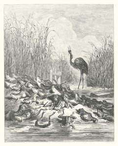 Die Fabeln von La Fontaine: Die Frösche, die einen König verlangten von Gustave Dore