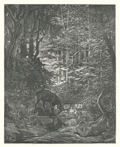 Die Fabeln von La Fontaine: Der Hirsch betrachtet sich im Bach