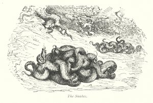 Die Schlangen (Gravur)