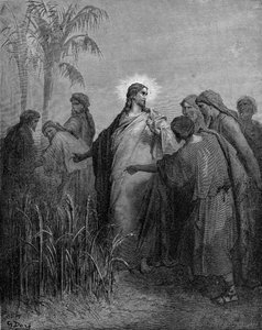 Die Jünger pflücken Korn am Sabbat von Gustave Dore