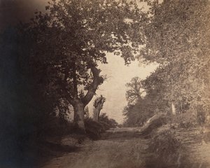 Fontainebleau, sandiger Weg, ca. 1856