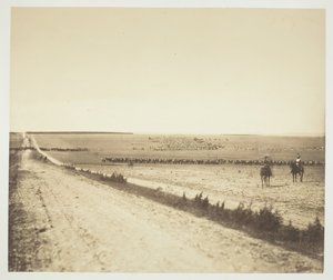 Manöver, Camp de Châlons von Gustave Le Gray