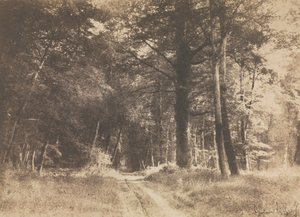 Weg im Wald von Fontainebleau, 1849-1852