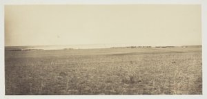 Ohne Titel von Gustave Le Gray