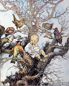 Illustration für „La storia di Peter Pan“, Märchen von James Matthew Barrie