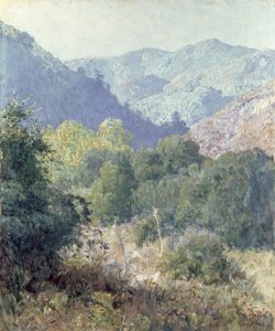 Blick auf die San Gabriel Mountains
